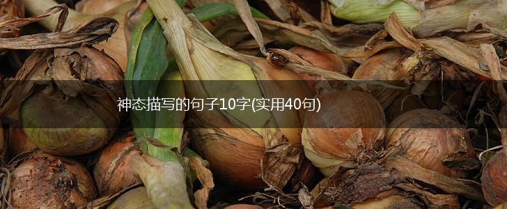 神态描写的句子10字(实用40句),第1张