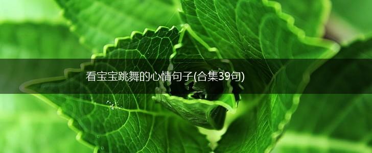 看宝宝跳舞的心情句子(合集39句),第1张