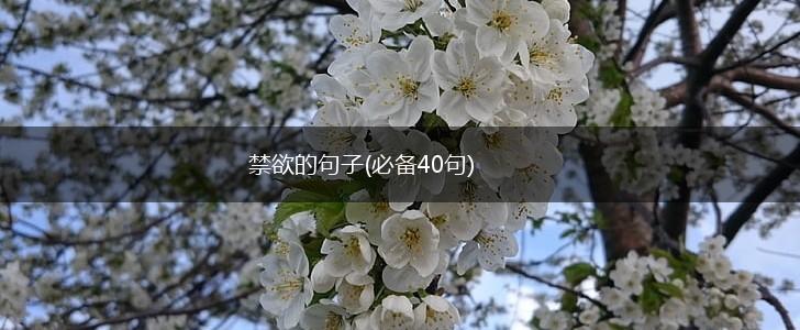 禁欲的句子(必备40句),第1张