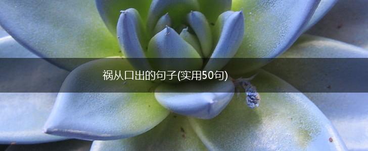 祸从口出的句子(实用50句),第1张