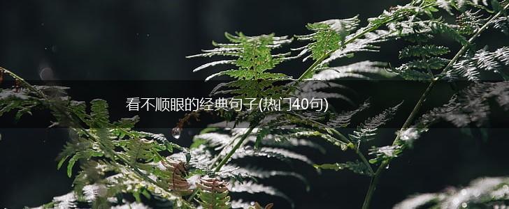 看不顺眼的经典句子(热门40句),第1张