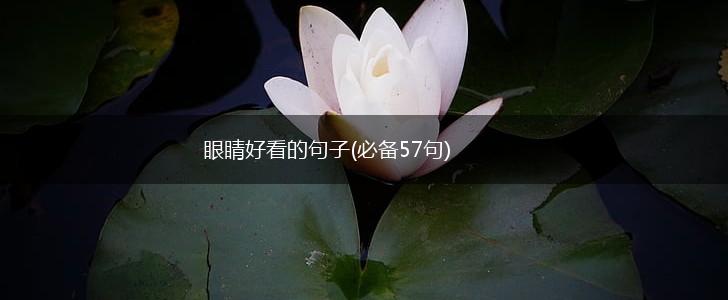 眼睛好看的句子(必备57句),第1张