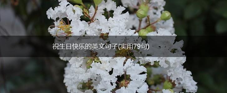 祝生日快乐的英文句子(实用79句),第1张