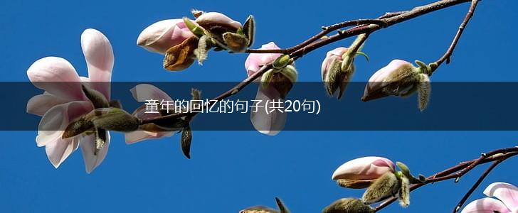 童年的回忆的句子(共20句),第1张