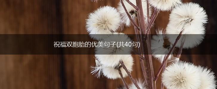 祝福双胞胎的优美句子(共40句),第1张