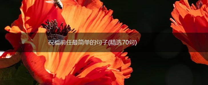 祝福前任最简单的句子(精选70句),第1张