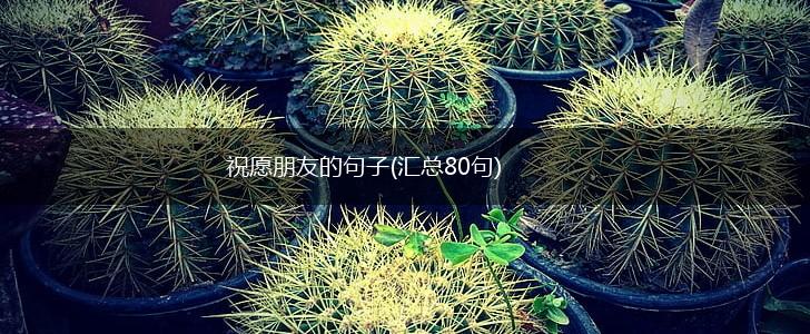 祝愿朋友的句子(汇总80句),第1张