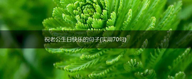 祝老公生日快乐的句子(实用70句),第1张