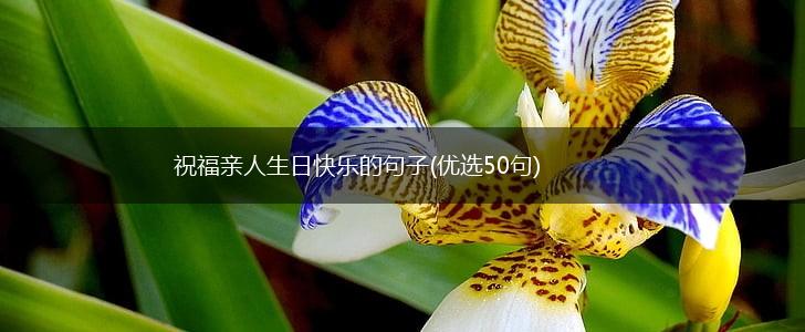 祝福亲人生日快乐的句子(优选50句),第1张