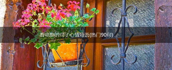 看电影的句子心情短语(热门90句),第1张