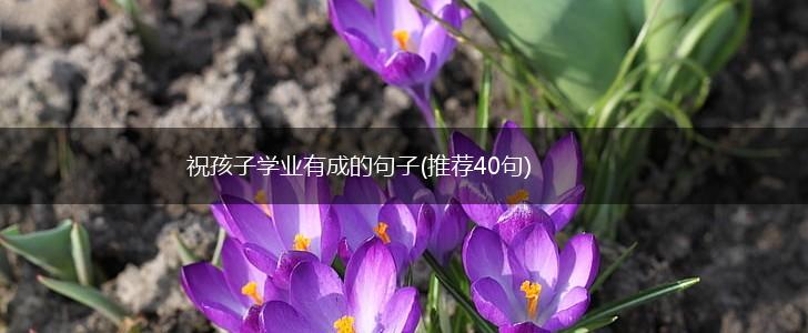 祝孩子学业有成的句子(推荐40句),第1张
