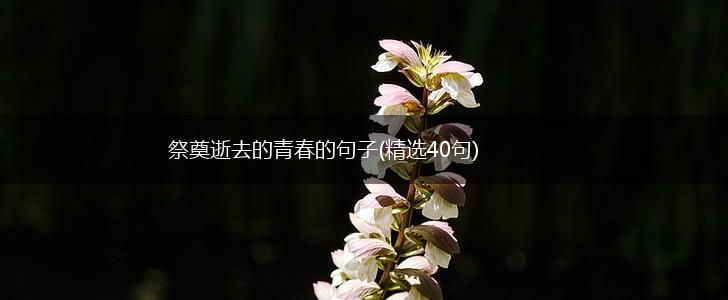 祭奠逝去的青春的句子(精选40句),第1张