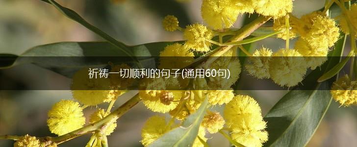 祈祷一切顺利的句子(通用60句),第1张