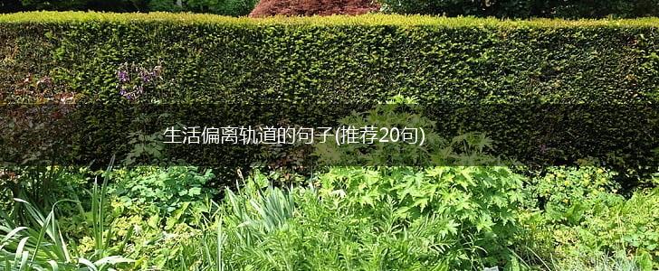 生活偏离轨道的句子(推荐20句),第1张