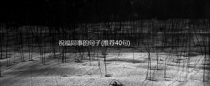 祝福同事的句子(推荐40句),第1张
