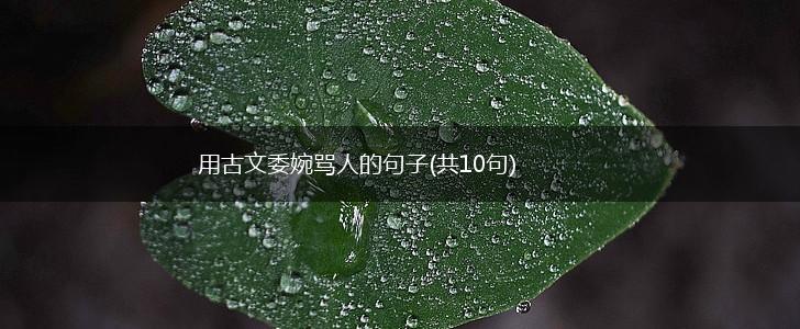 用古文委婉骂人的句子(共10句),第1张