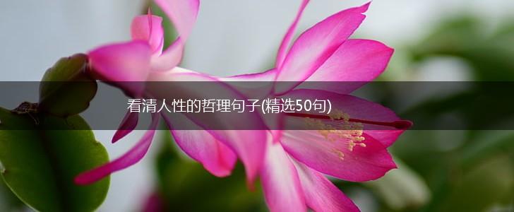看清人性的哲理句子(精选50句),第1张