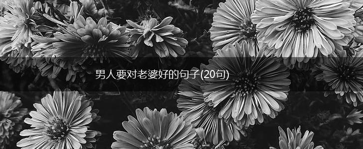 男人要对老婆好的句子(20句),第1张
