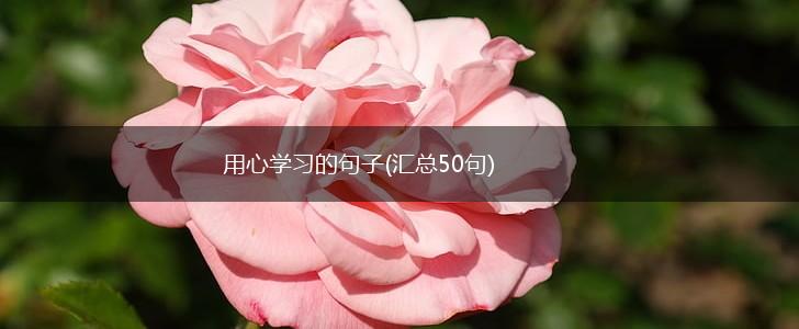 用心学习的句子(汇总50句),第1张