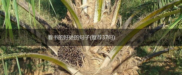 看书的好处的句子(推荐37句),第1张