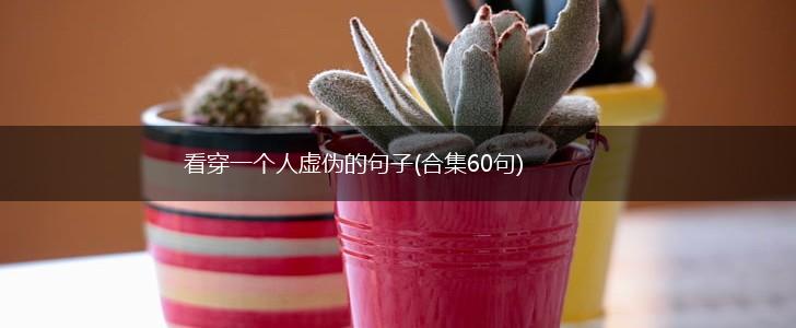 看穿一个人虚伪的句子(合集60句),第1张