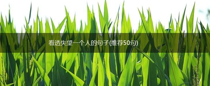 看透失望一个人的句子(推荐50句),第1张