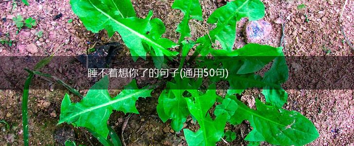 睡不着想你了的句子(通用50句),第1张