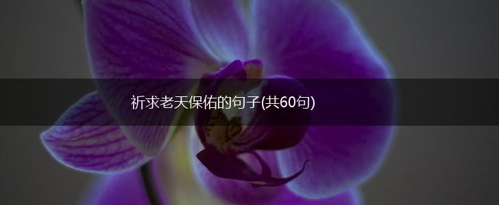 祈求老天保佑的句子(共60句),第1张