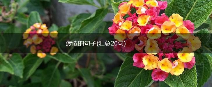 疲倦的句子(汇总20句),第1张