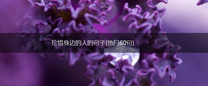 珍惜身边的人的句子(热门60句),第1张 珍惜身边的人的句子(热门60句),第1张