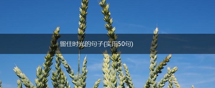 留住时光的句子(实用50句),第1张