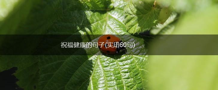 祝福健康的句子(实用60句),第1张