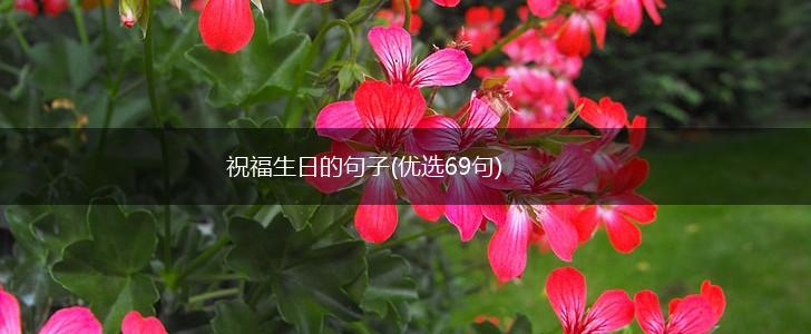 祝福生日的句子(优选69句),第1张