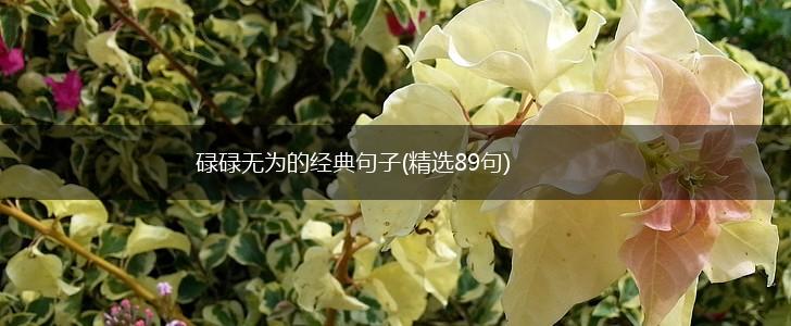 碌碌无为的经典句子(精选89句),第1张
