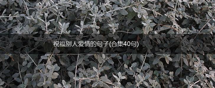 祝福别人爱情的句子(合集40句),第1张