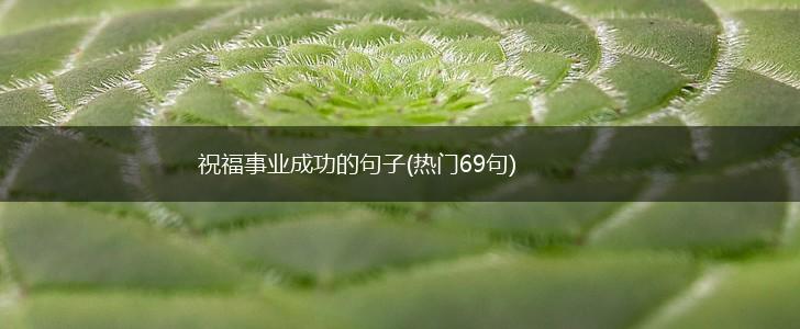 祝福事业成功的句子(热门69句),第1张