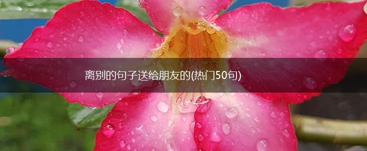 离别的句子送给朋友的(热门50句),第1张