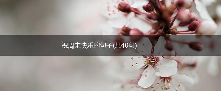 祝周末快乐的句子(共40句),第1张