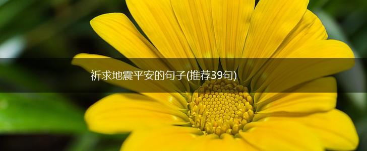 祈求地震平安的句子(推荐39句),第1张