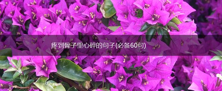 疼到骨子里心碎的句子(必备60句),第1张