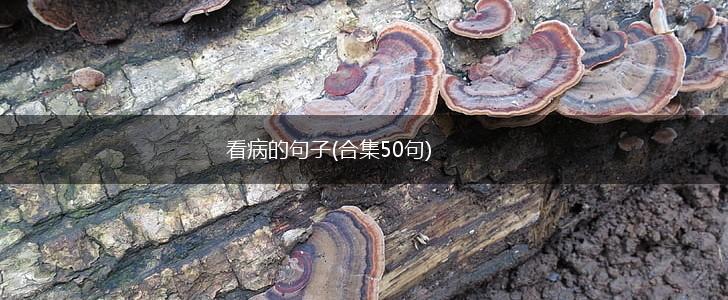 看病的句子(合集50句),第1张