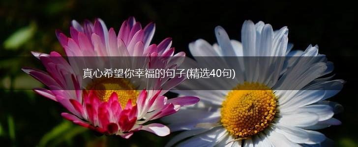 真心希望你幸福的句子(精选40句),第1张