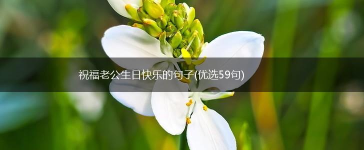 祝福老公生日快乐的句子(优选59句),第1张