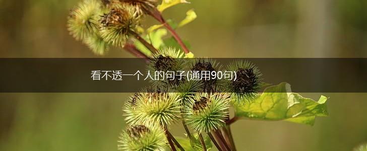 看不透一个人的句子(通用90句),第1张