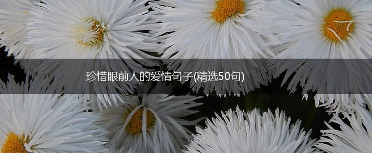 珍惜眼前人的爱情句子(精选50句),第1张