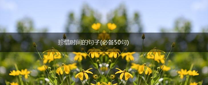 珍惜时间的句子(必备50句),第1张