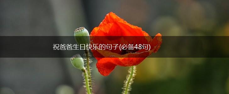 祝爸爸生日快乐的句子(必备48句),第1张