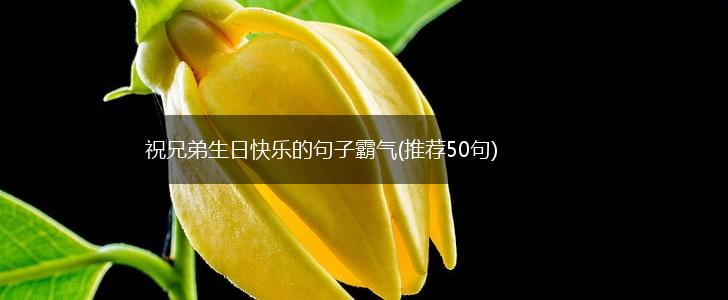 祝兄弟生日快乐的句子霸气(推荐50句),第1张