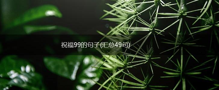 祝福99的句子(汇总49句),第1张