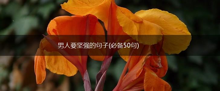 男人要坚强的句子(必备50句),第1张